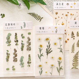 🔥新款臺灣熱賣🔥紙先生 花卉 PET手帳 透明韓國貼紙包 防水冰箱小清新植物裝飾貼畫