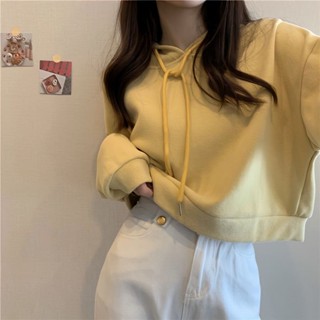 現貨.長袖帽t 韓版春季新款短版連帽大學T百搭寬鬆韓版高腰套頭長袖上衣女潮ins大學T 寬鬆短版上衣 棉t 長袖短版上衣