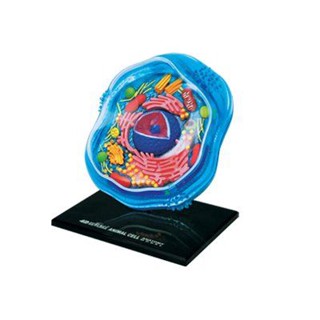 4D MASTER Vison模型/ 動物細胞 eslite誠品