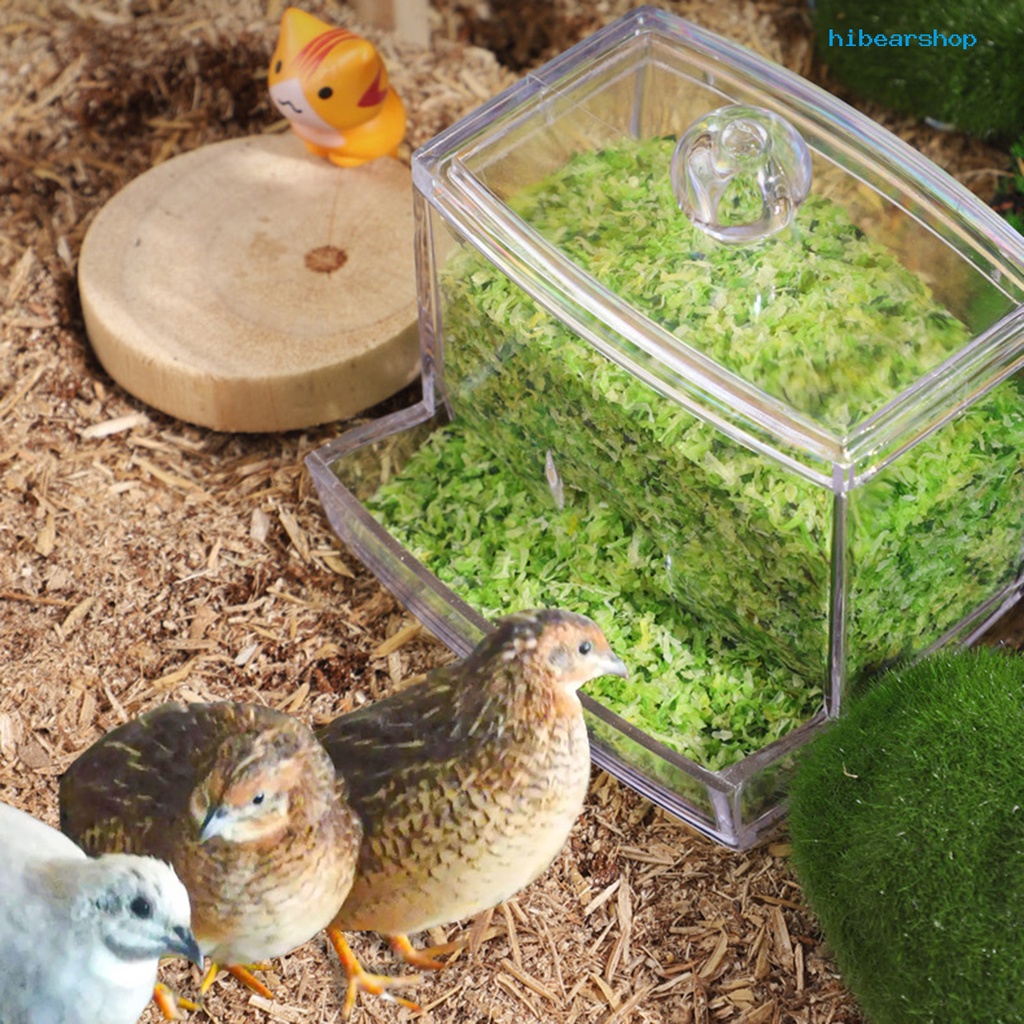 [文房寵物]蘆丁雞餵食器自動小雞食盒食槽食盆食罐飼料盒下料飲水飲水機（頻道）
