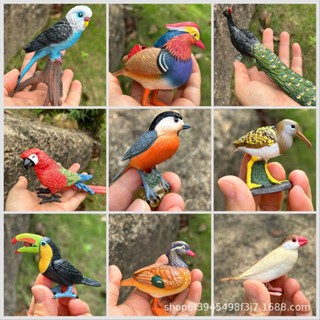 ✌限時熱銷✌模擬鳥模型實心飛禽小鳥巨嘴鳥文鳥貓頭鷹鸚鵡玩具擺件園林裝飾