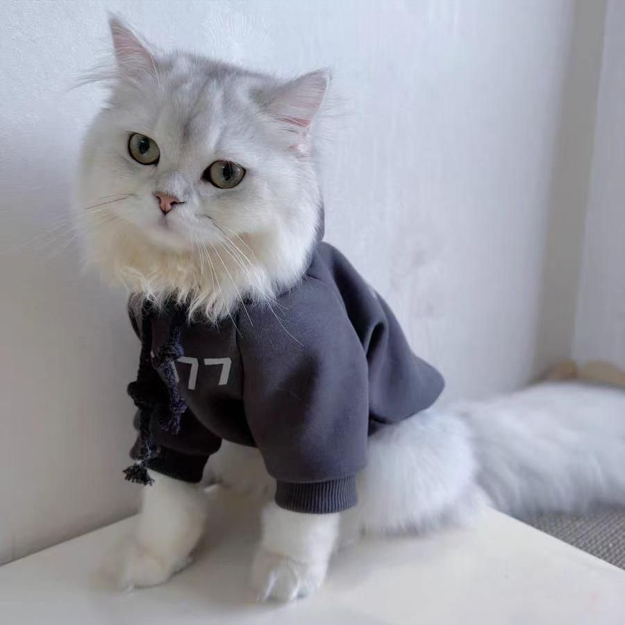 冬裝寵物貓貓咪衣服秋防掉毛保暖可愛小奶貓藍貓英短連帽刷毛大學T