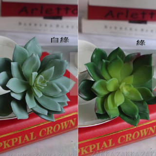 [HOME]尖角雪蓮 秋色 微景觀植物 模擬 多肉植物 模擬人造花 造景盆栽 攝影拍照道具 婚禮櫥窗居家空間桌面佈置