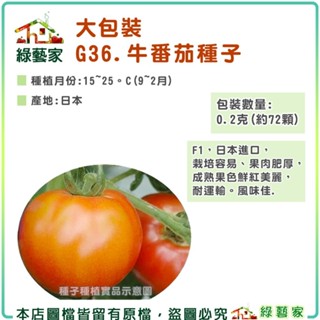 【綠藝家】大包裝G36.牛蕃茄種子 0.2克(約72顆) 蔬菜種子、果菜種子、番茄、園藝