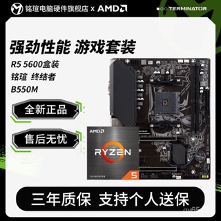 【現貨速發】AMD Ryzen 銳龍 R5 5600盒裝 銘瑄 終結者 B550M 主板CPU套裝 C5GZ