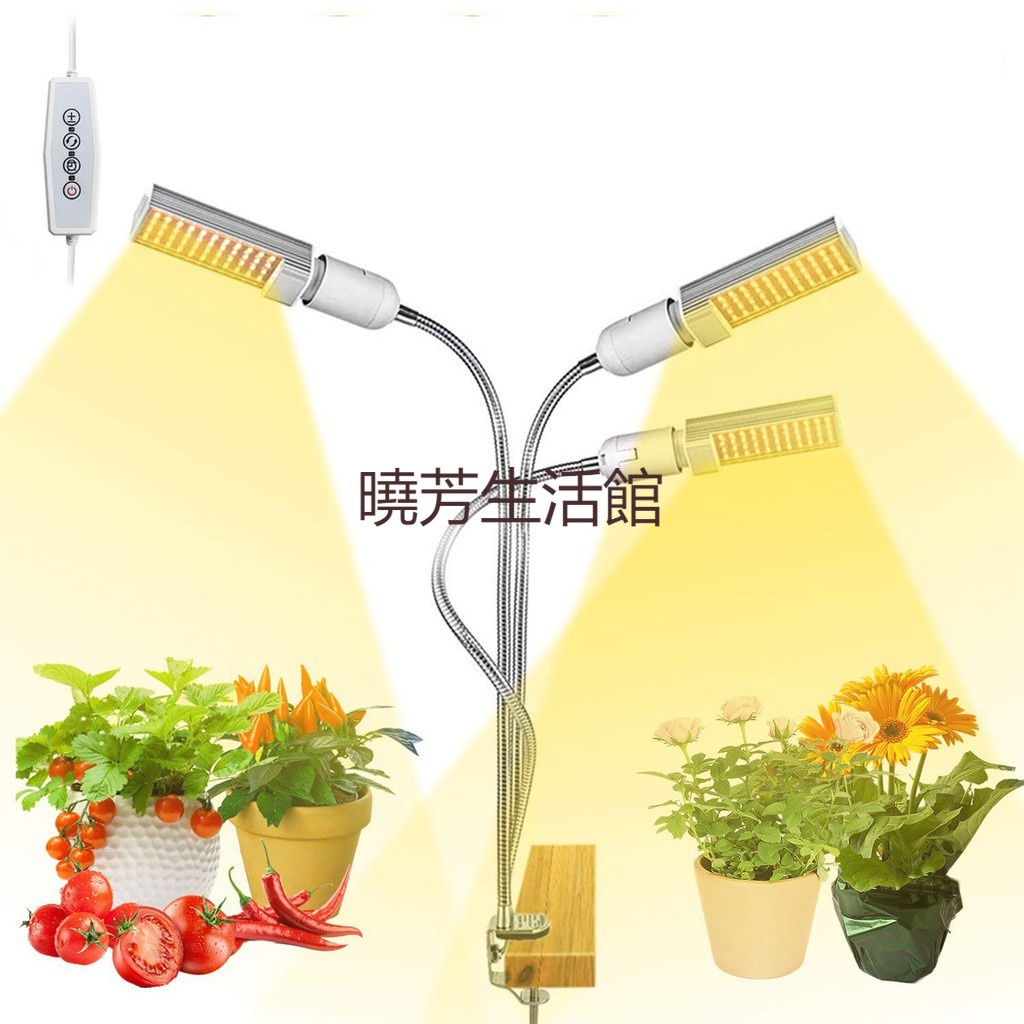 〈曉芳推薦〉全光譜 植物燈  可定時USB補光燈 夾子植物生長燈 多肉植物燈 盆栽燈 含110V插頭