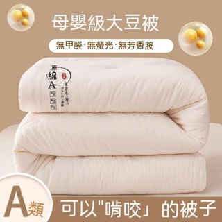 🌈現貨速發🌈大豆纖維棉被 被子冬被 冬天棉被 單人棉被 四季被 雙人棉被 保暖棉被