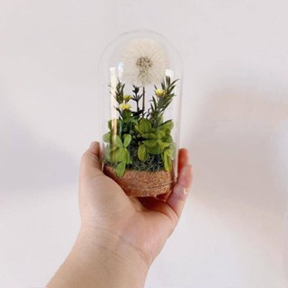 「山野」北歐裝飾擺件 創意擺件 玻璃罩永生花 花 禮物 資料包diy 氛圍感禮物 母親節禮物 模擬玫瑰 仿生花 生日禮物