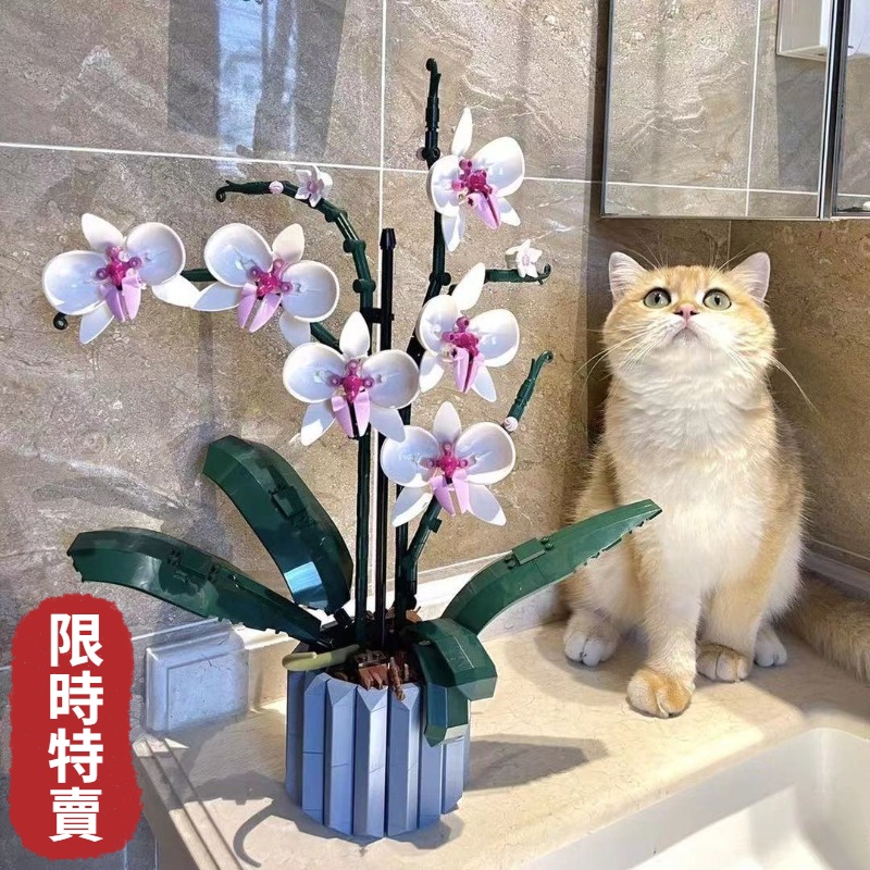 🔥 相容樂高 蘭花 蝴蝶蘭 拼裝積木 多肉積木 植物盆栽積木 花束盆景積木 積木花束小顆粒拼裝玩具 盆栽植物擺件 禮物