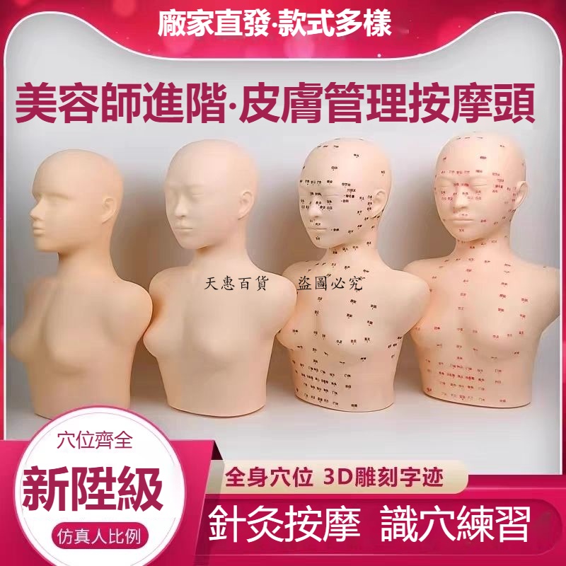 天惠~皮膚管理頭模學美容假人頭頭部模型美容模特頭臉部按摩光頭帶肩膀
