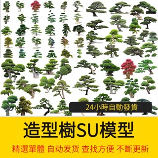 非實物sketchup模型｜ 中式庭院花園修剪造型樹觀賞松樹盆景景觀植物草圖大師SU模型素材