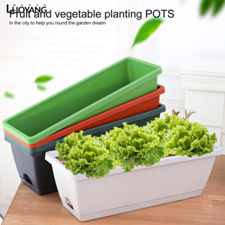 洛陽牡丹 種菜盆長條果蔬花盆陽臺家庭種菜神器室內特大蔬菜長方形種植槽