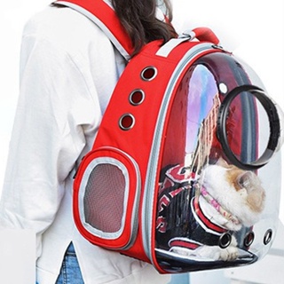 半透明寵物攜帶袋大容量拉鍊設計貓狗寵物背包