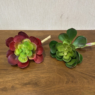 [HOME] 多肉植物 寶蓮 2款 微景觀 模擬人造植物 造景盆栽 婚禮櫥窗店面 拍照道具 空間居家民宿餐廳裝飾佈置