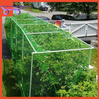 [littlestars.tw] 防鳥網保護植物果樹蔬菜防護 防護果園網罩
