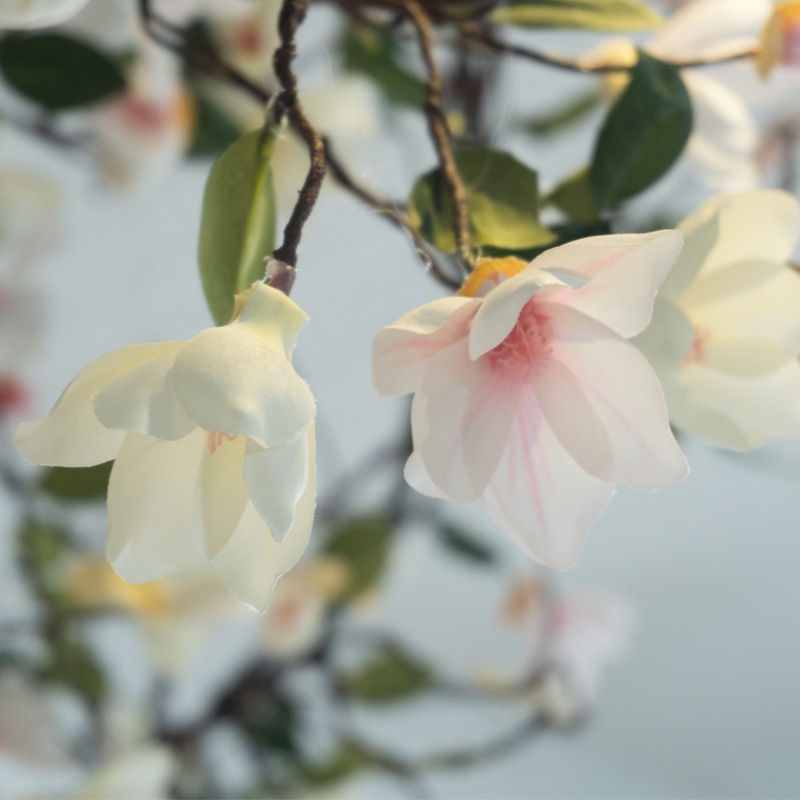 婚慶藤蔓花牆裝飾花藤 仿真花樹藤假人造花藝假花藤條仿真玉蘭花 F2DY