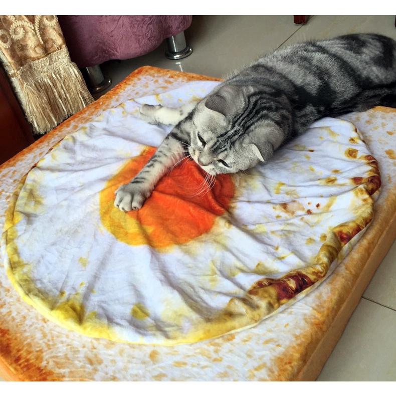 網紅 創意 女友禮物荷包蛋煎蛋蛋黃被子貓咪空調被抱枕微博同款短毛絨寵物墊套裝