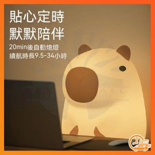 臺灣現貨 卡通可愛小夜燈 水豚小夜燈 拍拍小夜燈 水豚夜燈 小夜燈 氣氛燈 拍拍燈 臥室燈 床頭燈 生日禮物 交換禮物