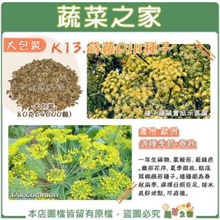【蔬菜之家滿額免運】大包裝K13.蒔蘿Dill種子80克64000顆) 一年生植物，葉線形，藍綠色。繖形花序，夏季開放