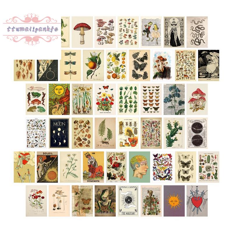 50 件復古植物塔羅牌美學牆拼貼套件植物群和動物群昆蟲插圖藝術海報卡片房間裝飾