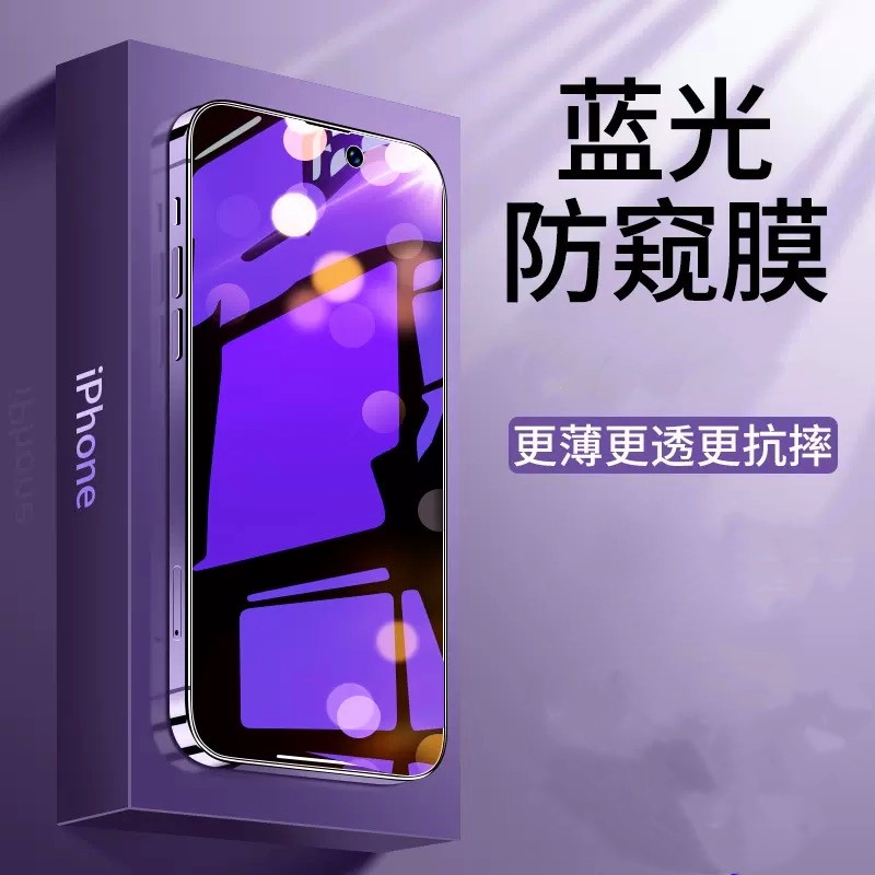 防窺抗藍光滿版玻璃貼 防偷窺保護貼 適用iPhone 13 12 11 Pro Max XR XS i11 i8 i7