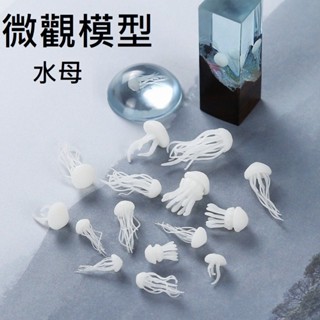 【微觀模型-水母】3D立體 水母 模型 滴膠素材 水晶膠填充物