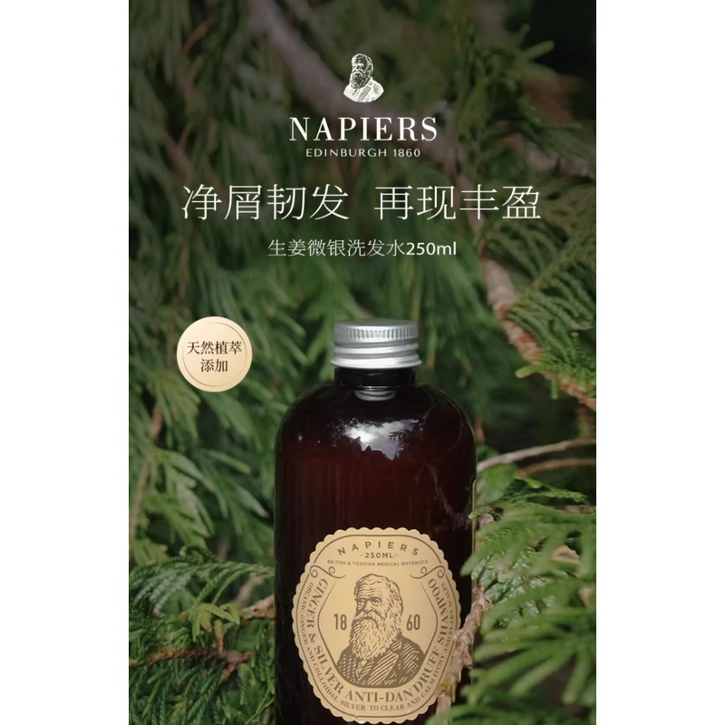 【正品出貨】Napiers/草本迷迭香防脫洗髮水 生薑微銀去屑洗髮露男女 章小蕙推薦