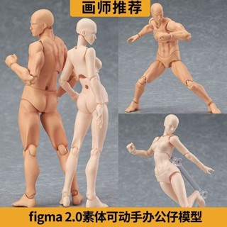 【模型男女人偶素描】日本.美術.作品.模型.模擬.彩繪.教學.製作.關節.可動.人偶.創意 人體模型 美術繪畫人偶
