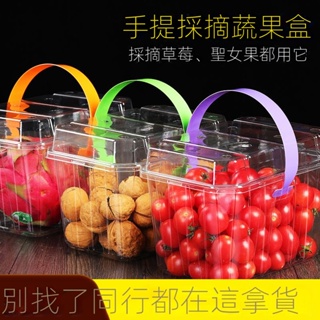 🔥台灣好物熱賣🔥   一次性手提水果盒打包裝盒1斤透明蘆丁雞櫻桃聖女果透明手提盒子
