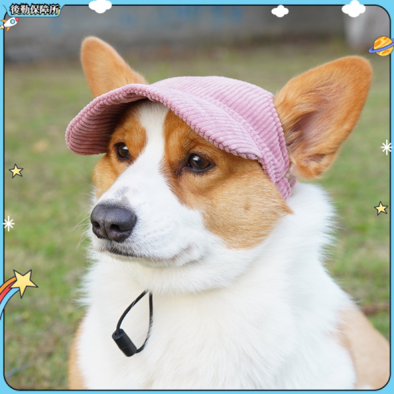 【現貨速發】寵物帽子 寵物遮陽帽 休閒 貓咪 狗狗 棒球帽 寵物遮陽帽