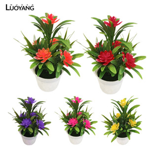 洛陽牡丹 模擬盆栽5朵小荷花植物盆景桌面擺件室內裝飾家居仿真花