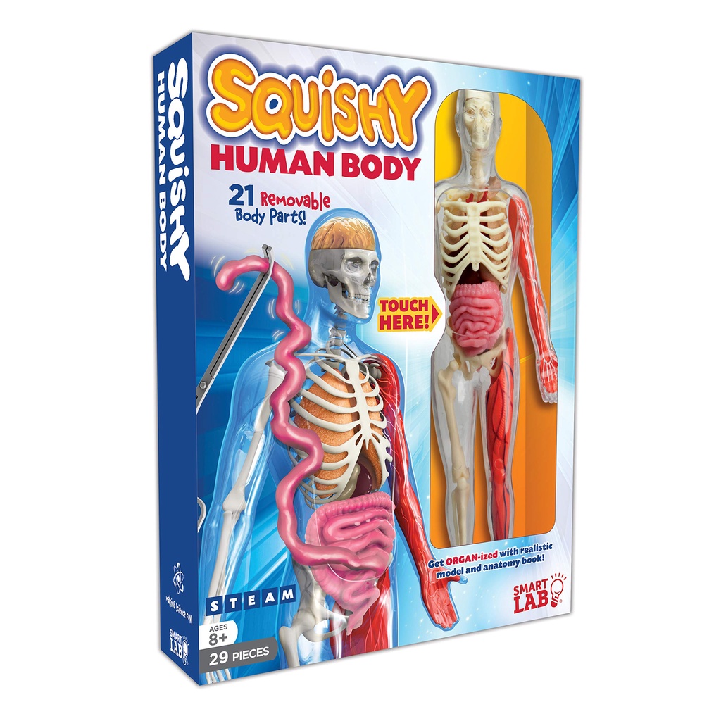 Squishy Human Body (人體模型)(盒裝)/SmartLab Toys【禮筑外文書店】