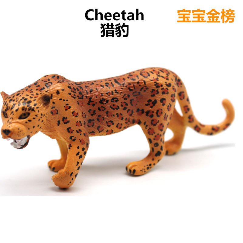 ❤樂樂屋❤仿真野生動物美洲豹非洲金錢豹模型玩具塑膠實心擺件兒童禮物