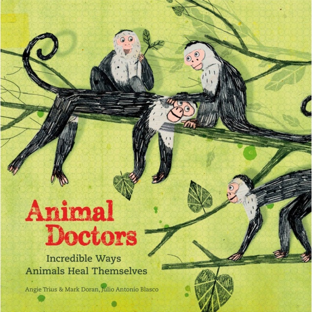 Animal Doctors(精裝)/Julio Antonio Blasco【三民網路書店】