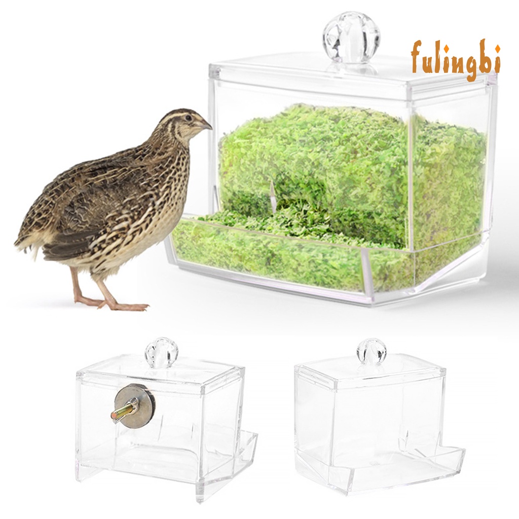 [FUI] 蘆丁雞餵食器自動小雞食盒食槽食盆食罐飼料盒下料飲水飲水機