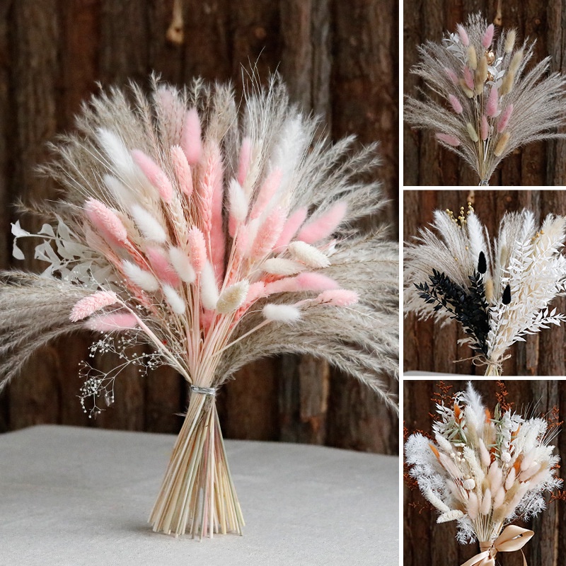 小蘆葦乾燥花花束成品兔尾草混搭真花室內家居彩色裝飾花束擺件