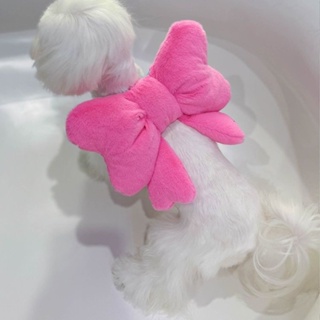 飾品--寵物背包自背蝴蝶結後背包小型裝飾春夏季狗貓咪可愛公主