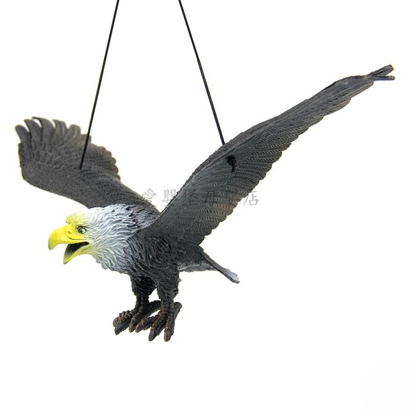 大號模擬老鷹模型 塑膠模擬動物 飛禽玩具 兒童認知