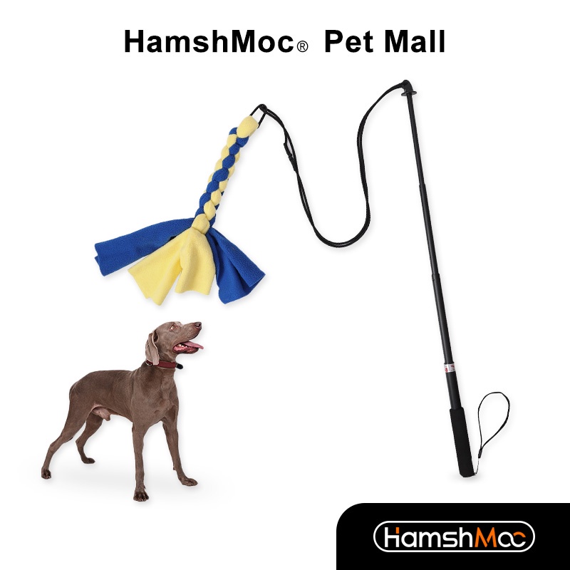 HamshMoc 互動狗拋竿玩具 磨牙耐咬繩結玩具逗狗棒 戶外巡迴釋放精力 小中大型犬的訓練神器 可伸縮 【現貨速發】