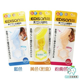 【牙齒寶寶】日本進口 EDISON MAMA 嬰兒口腔期 矽膠固齒器 一入