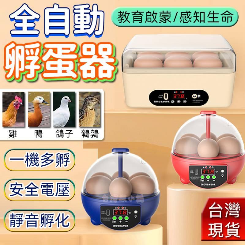 台灣保固 孵蛋機 家用孵化器 USB全自動孵化器 小型孵化箱 教育啟蒙孵化機 雞鴨鴿子鵪鶉孵蛋器 控溫孵化箱智能孵蛋箱
