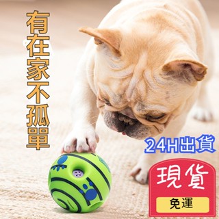 【臺灣現貨 24H出貨】寵物耐咬玩具球狗狗玩具狗磨牙玩具球小狗發聲玩具大狗發聲球狗狗訓練玩具小中大型犬玩具球寵物互動解悶