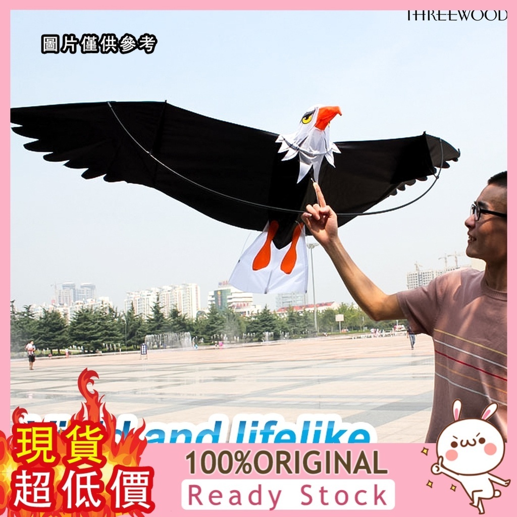 [捕風者] 立體老鷹風箏3D風箏前撐杆老鷹Eagle kite