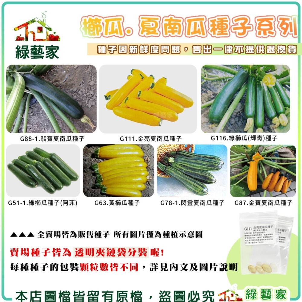 【綠藝家】櫛瓜、夏南瓜種子系列   綠櫛瓜 黃櫛瓜  翡寶夏南瓜 金寶夏南瓜種子  (各包裝數量詳見內文及圖片
