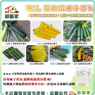 【綠藝家】櫛瓜、夏南瓜種子系列 綠櫛瓜 黃櫛瓜 翡寶夏南瓜 金寶夏南瓜種子 (各包裝數量詳見內文及圖片