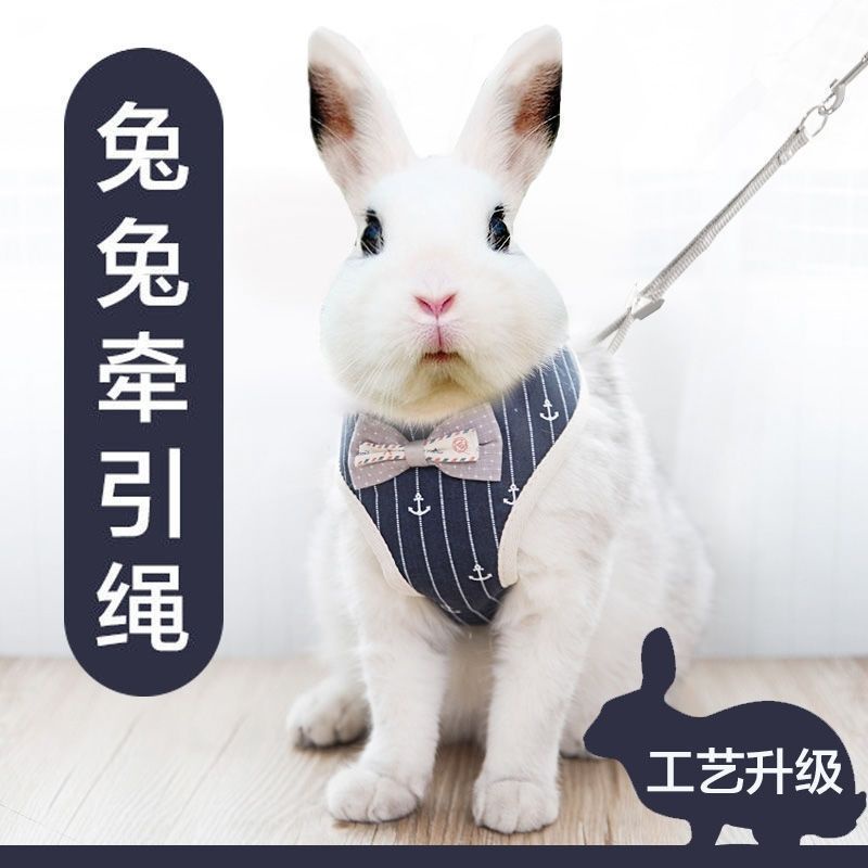 限時免運🎇兔子牽引繩 防掙脫溜兔繩子外出牽侏儒兔遛兔子神器可調節外出用品 J
