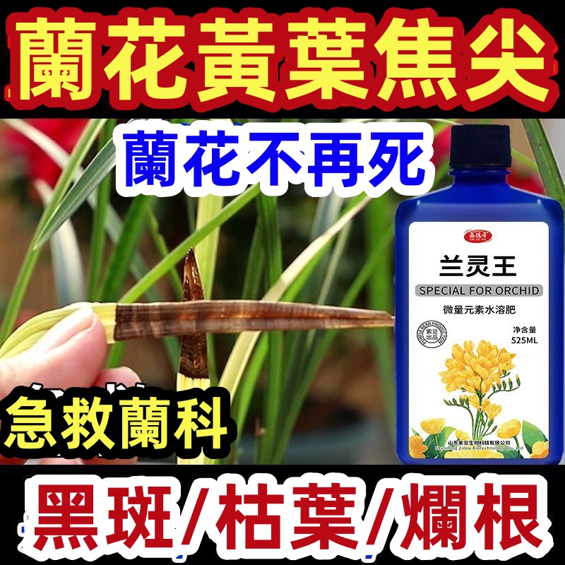 【🤣台灣發貨】EM菌 蘭花專用肥料 蘭花營養液 蘭靈王 微生物菌劑君子蘭  蝴蝶蘭 墨蘭 專用營養液