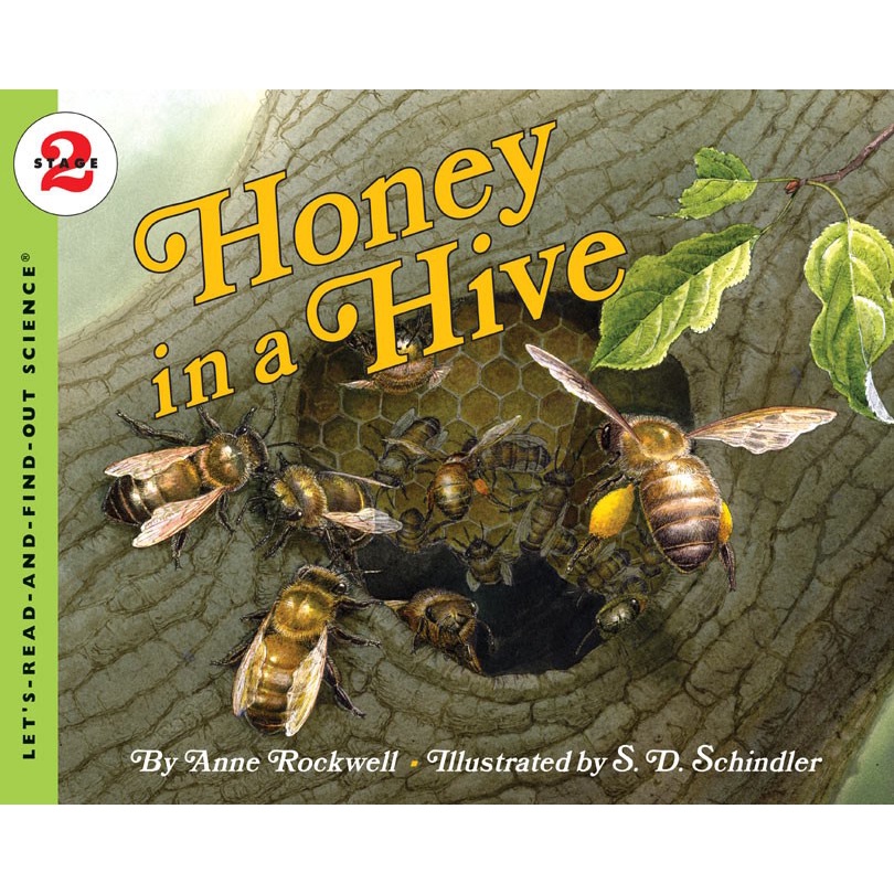 Honey in a Hive (Stage 2)/Anne F. Rockwell《Collins》 Let's-read-and-find-out Science 【三民網路書店】