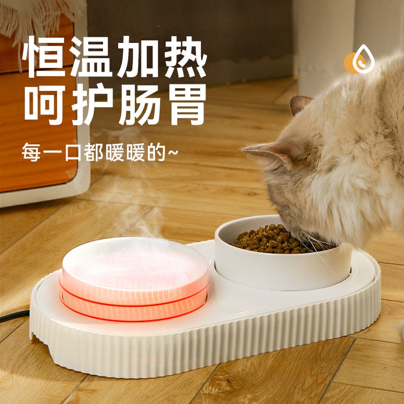 【現貨+免運】貓咪飲水機 恆溫寵物飲水器 加熱陶瓷貓水盆 自動循環狗狗喝水碗