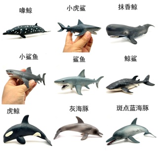 ✌限时熱銷✌仿真海洋動物模型藍鯨 虎鯨 抹香鯨 海豚鯊魚PVC實心玩具擺件批發